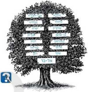 (בספר תמונה של זלדה)